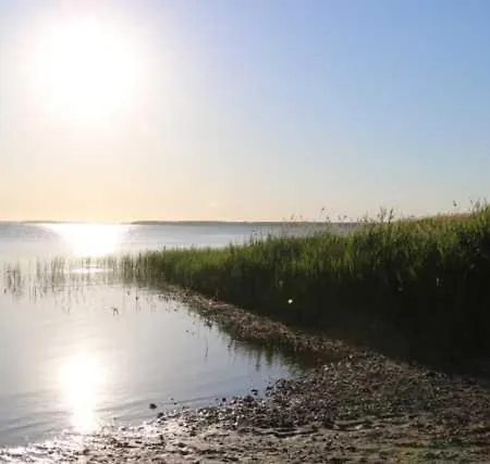 - Direkt Am Wasser * Polchow (Vorpommern-Rugen)