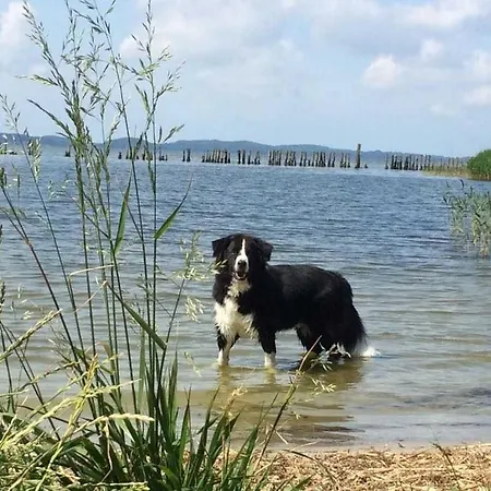 - Direkt Am Wasser