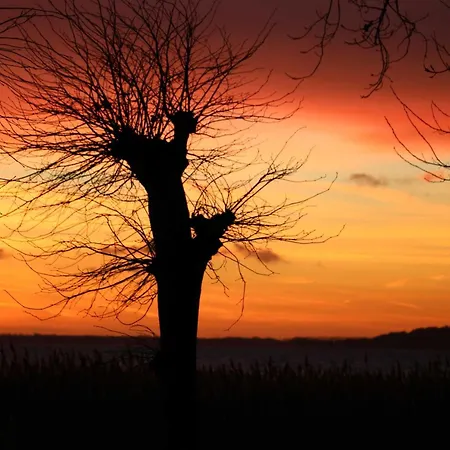 Apartment - Direkt Am Wasser *