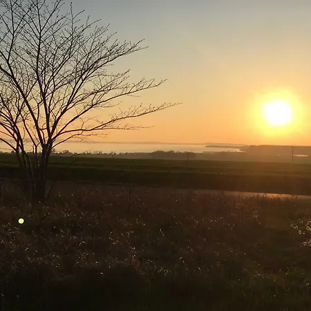 - Direkt Am Wasser Apartment