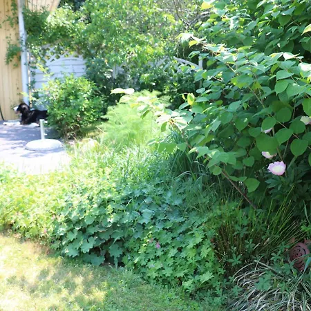 - Direkt Am Wasser Apartment Polchow (Vorpommern-Rugen)